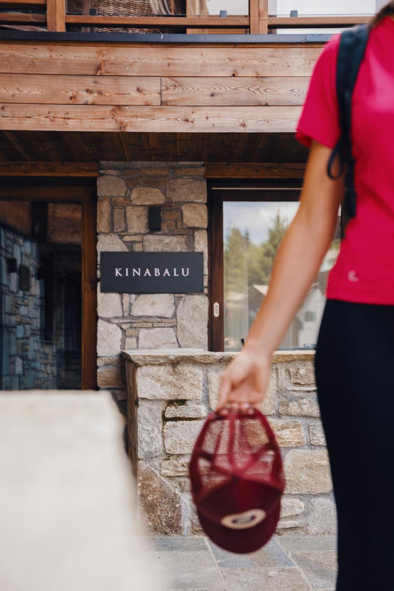 Kinabalu By Alpine * Les Gets